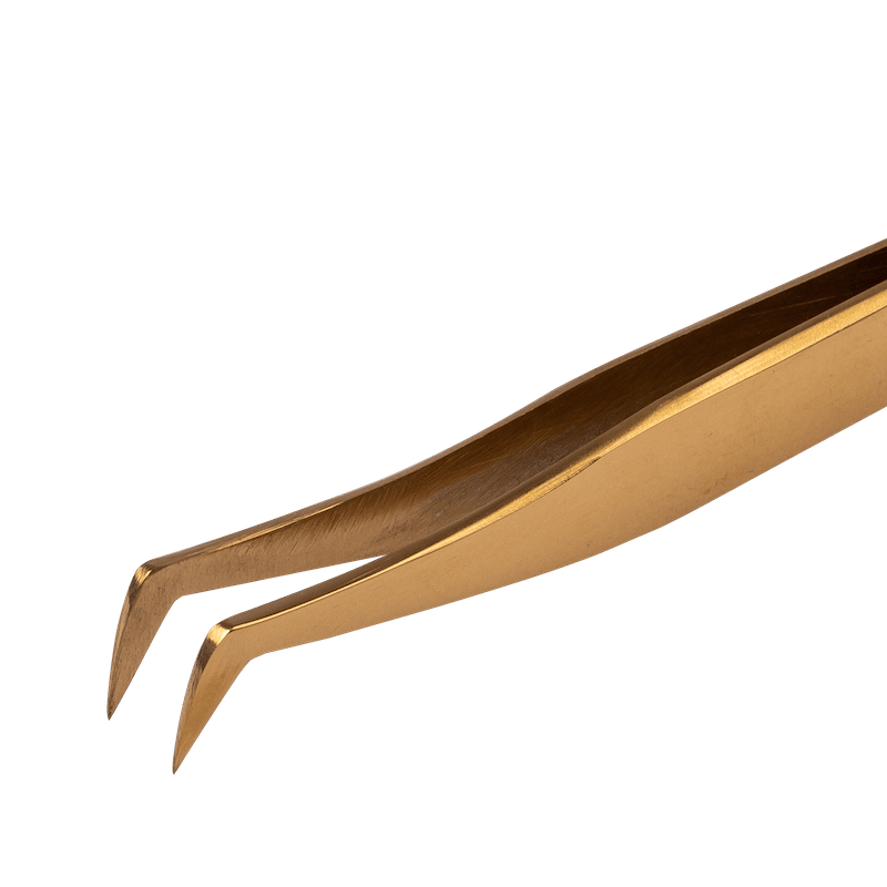 Pince Volume Russe, Maya