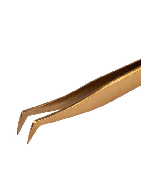 Pince Volume Russe, Maya