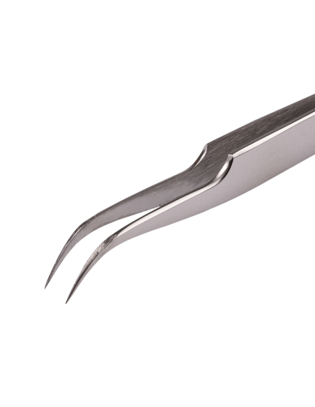 Pince courbée, Dori