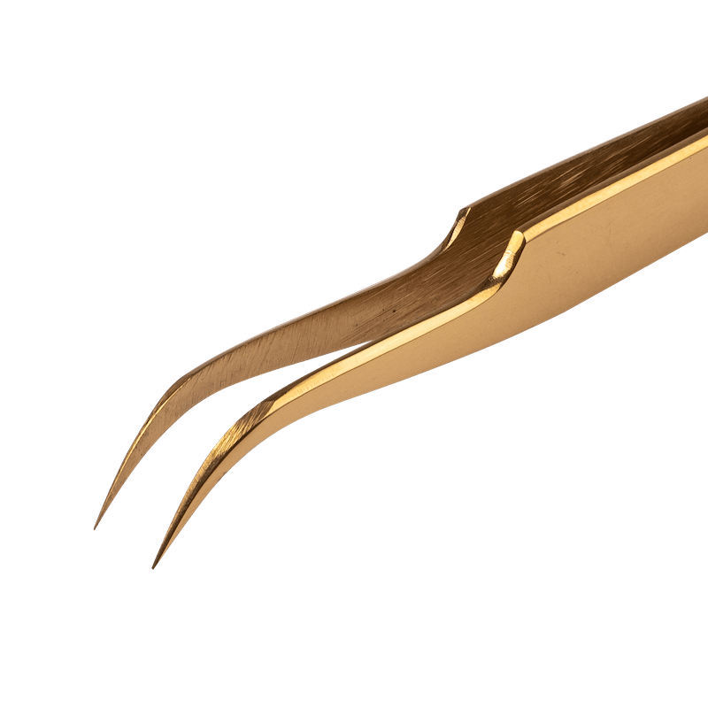 Pince courbée, Dori