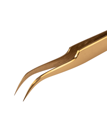 Pince courbée, Dori