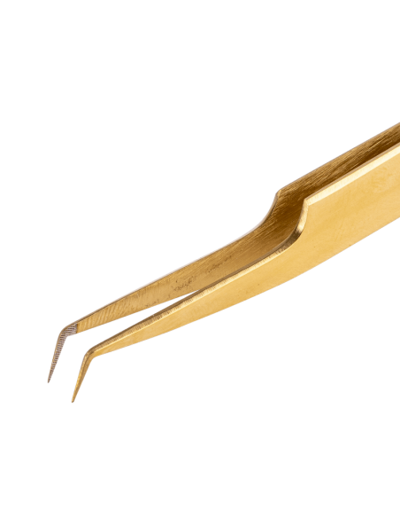 Pinces à pointe fibrée