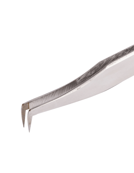 Pinces à pointe fibrée