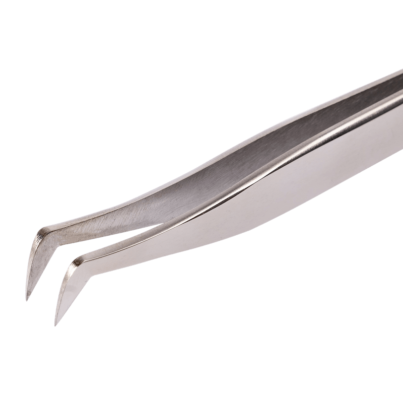 Pince Volume Russe, Maya