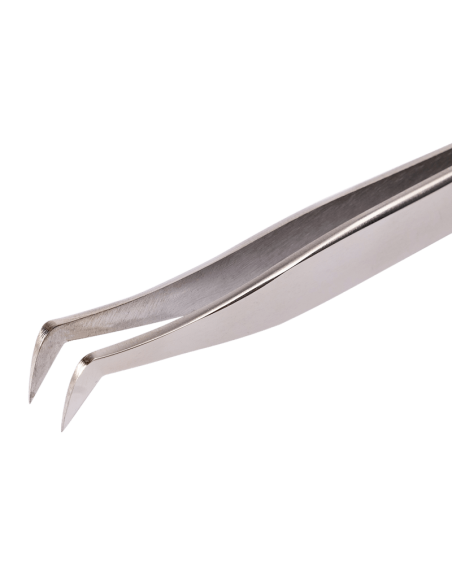 Pince Volume Russe, Maya