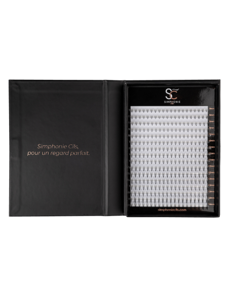 Boite XL - Préfaits - 640 Bouquets - 5D