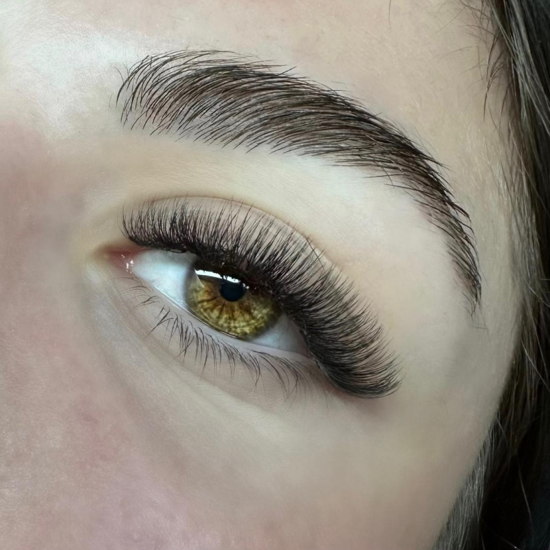 Boite XL - Préfaits - 640 Bouquets - 4D