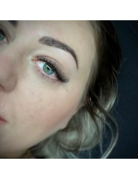 Boite XL - Préfaits - 640 Bouquets - 4D