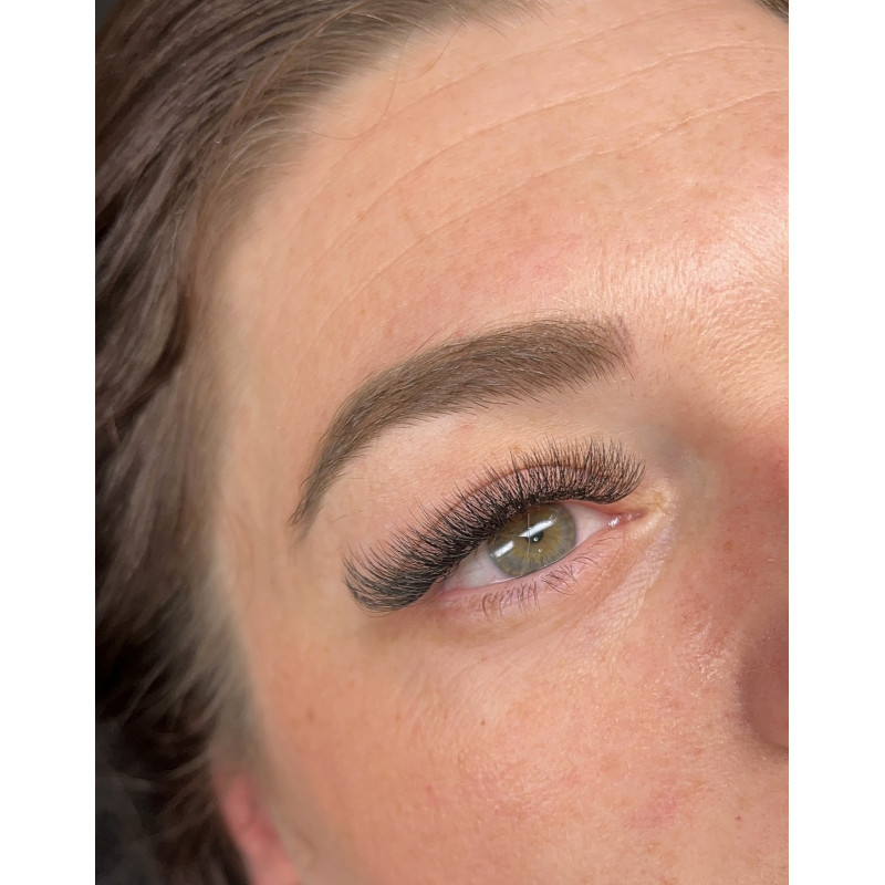 Boite XL - Préfaits - 640 Bouquets - 6D