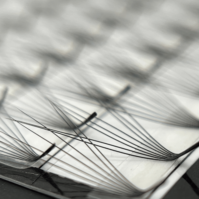 XL - préfaits - FOXY EYES - Courbure L - 640 bouquets