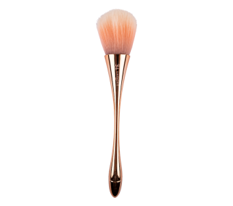 Brosse dépoussiérante