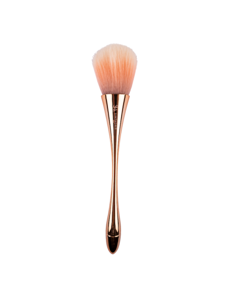 Brosse dépoussiérante