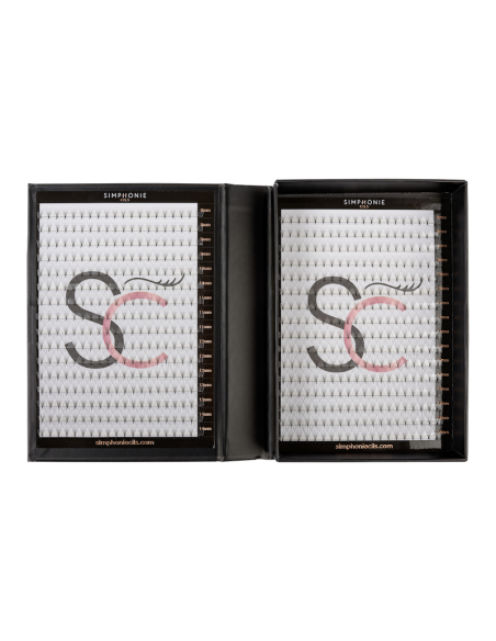 Boite XL - Préfaits - 640 Bouquets - 4D