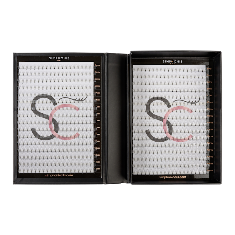 Boite XL - Préfaits - 640 Bouquets - 8D